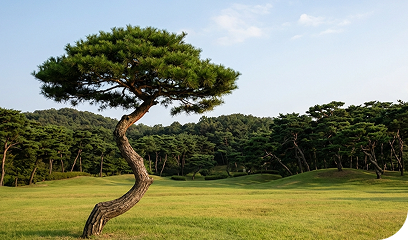 수목장 Nature